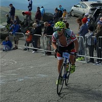 Chris Arrigoni