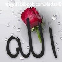 Cherif atef