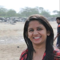 Krishna Chauhan