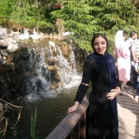 M Majidi