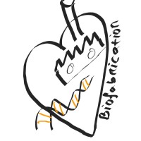 Biofabrication Engineering