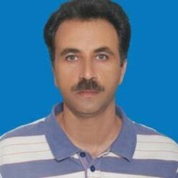 Zulfiqar Mian