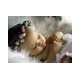 sangeetha h