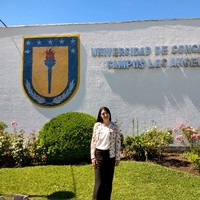Rocio Hormazabal Acuña