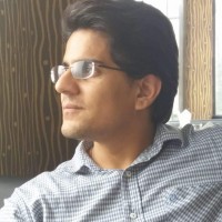 Hassan Naqvi