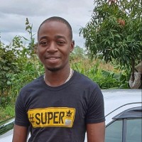 Farai Mushayabasa