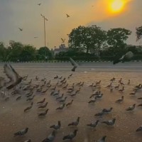 Hina Arshad