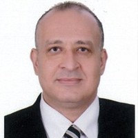 Mohamed Ismail Hafez