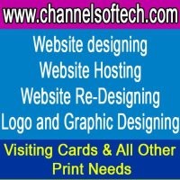 Website Designer Web Design and Hosting