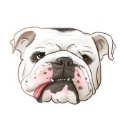 王珂帆/Kefan Wang