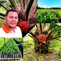 Gilson Nascimento