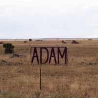 Adam Trotter