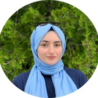 Betul Ozkisi