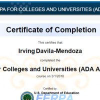 Irving Davila-Mendoza