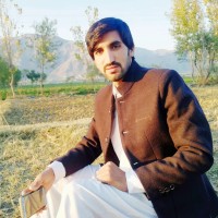 Muhammad Hamza