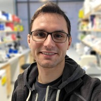 Matt Stigliano