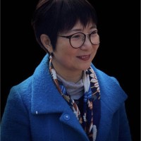 Fei Zhu
