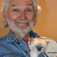 Pete Dawson