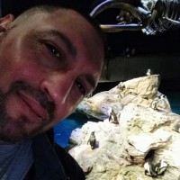 Ismael Gonzalez