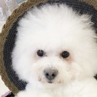 徐珂红