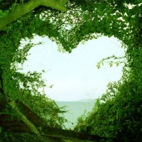 Vigneshwaran Selvaraj