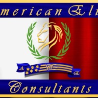 American Elite Consultants
