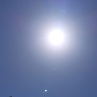 احميدة الشرباوي