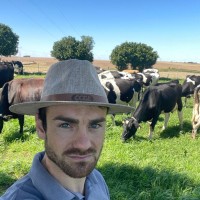 Nicolas Petry