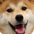 WOOF WOOF WOOF