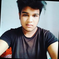 Ayan Roy