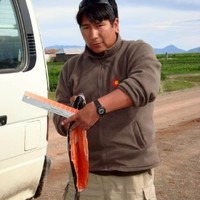 Dante Luque Bonifacio