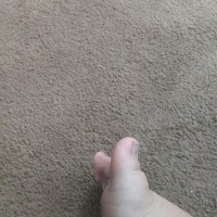 D F