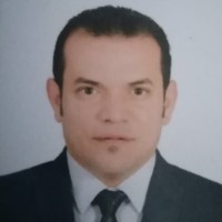 Waleed Soliman
