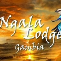 Ngala Lodge