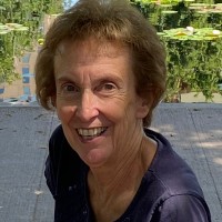 Carol Davis