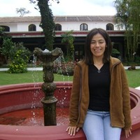 karin lissette medrano figueroa