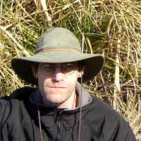 David Whalen