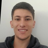 Carlos Henrique Junqueira Pinheiro
