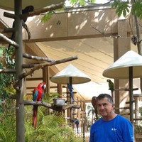Alfred Sulaiman