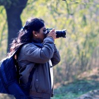 Mehjabeen Ansari