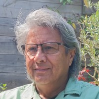 Patrick van der Voort