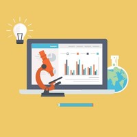 Web Design And SEO Organization Of Phoenix