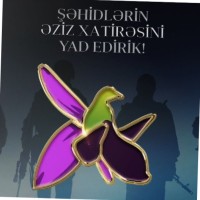Mohsun S