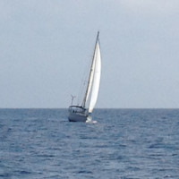 Bautista del velero