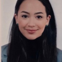 DIANA VALENTINA TOLEDO ÑAÑEZ