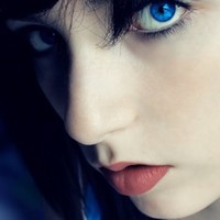 Nish Lily