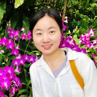 Jingying Gao