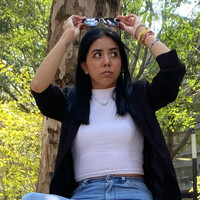 Paulina Carrillo Piña