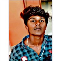 A.Raja Sekar