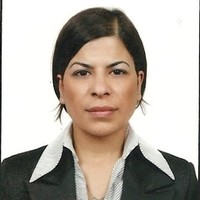 Nergis Ceydeli